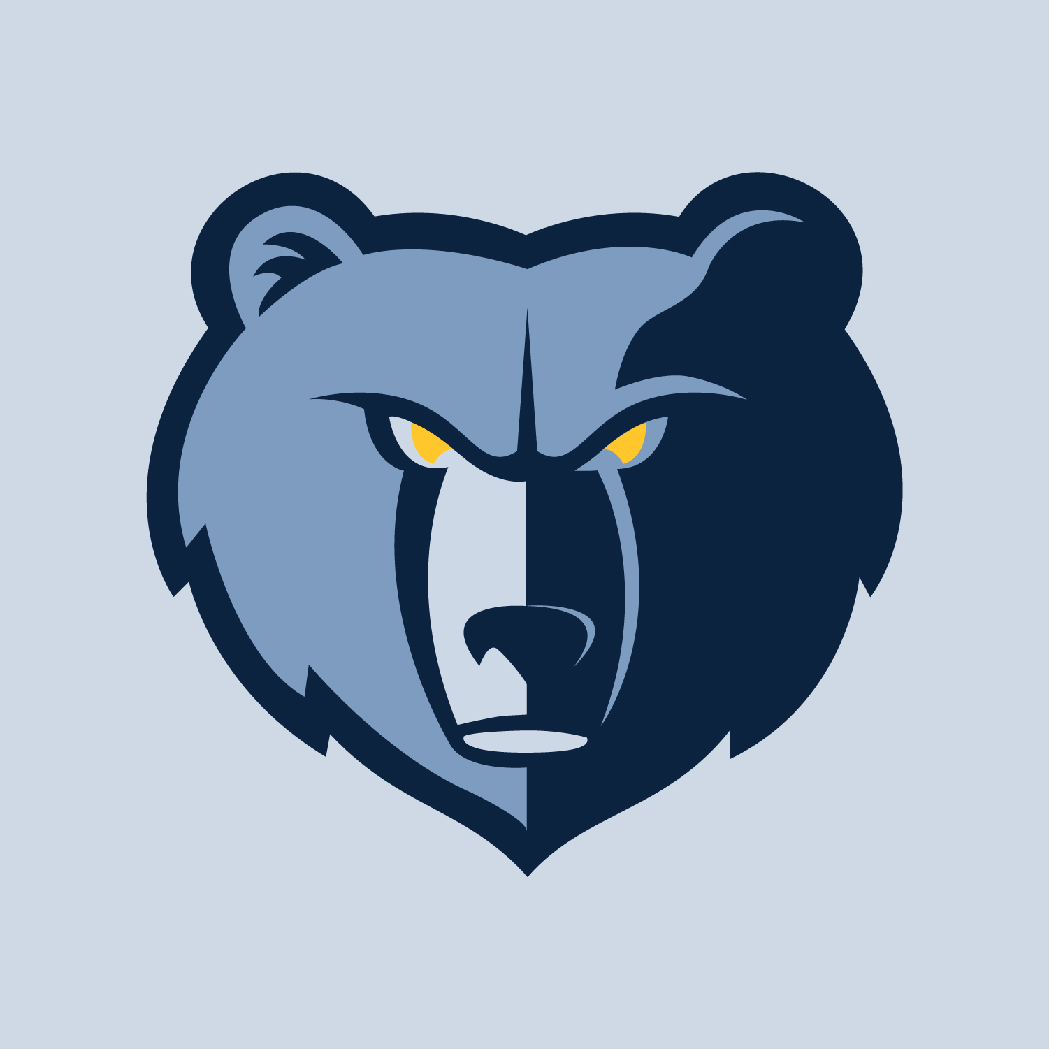 Memphis Grizzlies – RARE Design