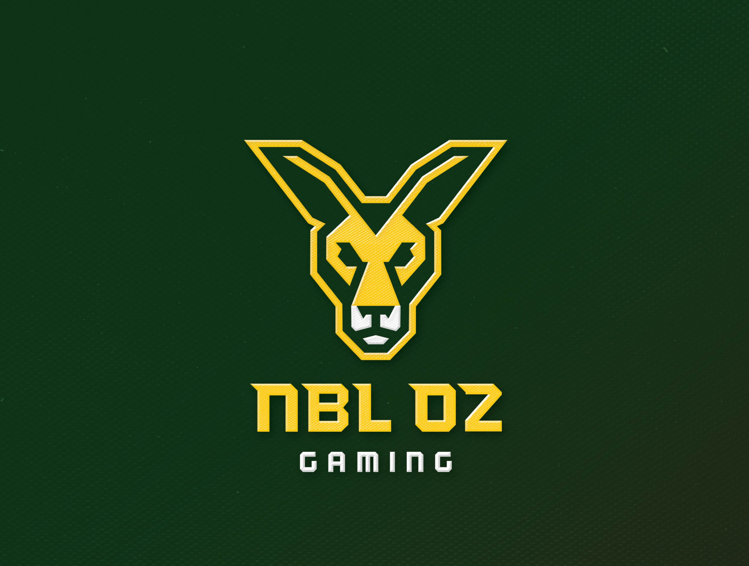 RARE x NBL Oz Gaming